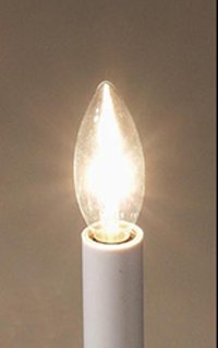 Clear 15W Torpedo Candelabra Bulb - 2 pack