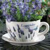 Lavender Dolomite Tea Cup Planter - 4.5 inches