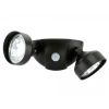 Motion-Activated Outdoor Security Lights